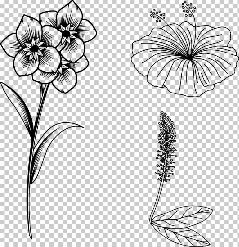 Floral Design PNG, Clipart, Coloring Book, Cut Flowers, Floral Design, Flower, Line Art Free PNG Download