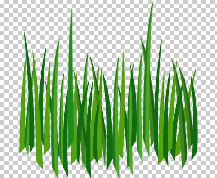 Lawn PNG, Clipart, Action, Black And White, Cartoon, Clip Art, Commodity Free PNG Download