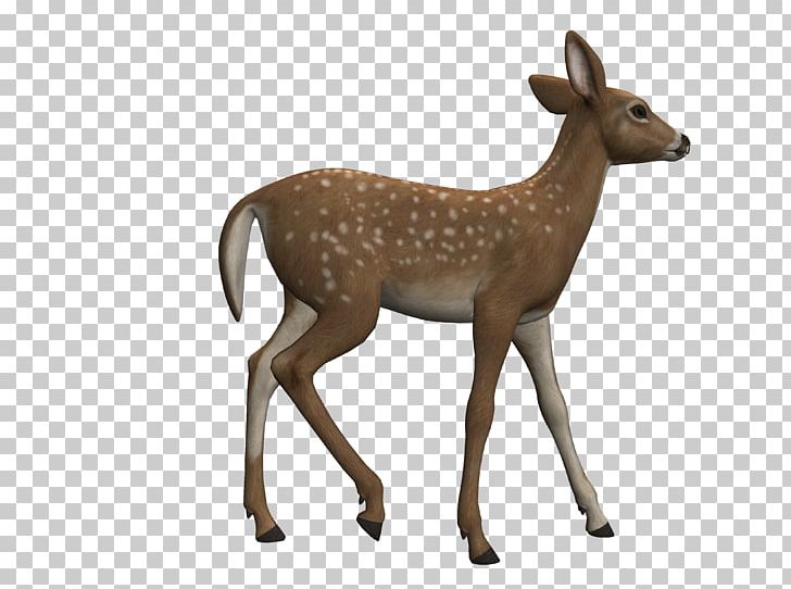 Red Deer White-tailed Deer Roe Deer PNG, Clipart, Animal Figure, Animals, Antelope, Antler, Card Free PNG Download