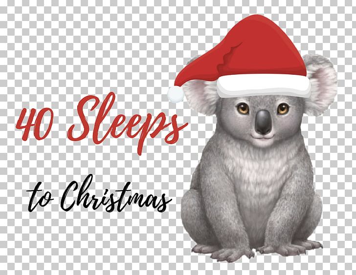 Baby Koala Wombat Bear Platypus PNG, Clipart, Animal, Animals, Australia, Australia Holiday, Baby Koala Free PNG Download