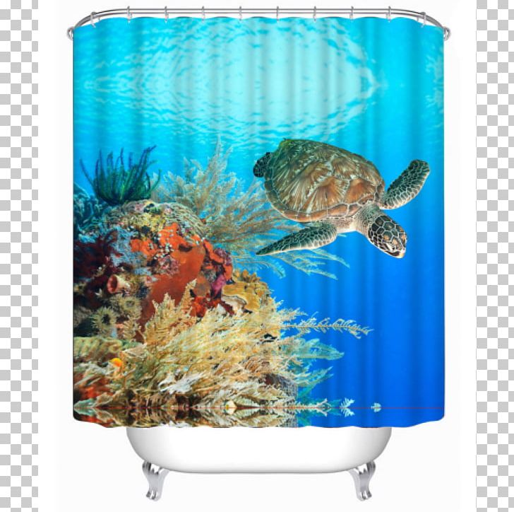 Sea Turtle Coral Reef PNG, Clipart, Animal, Animals, Aquarium, Coral, Coral Reef Free PNG Download