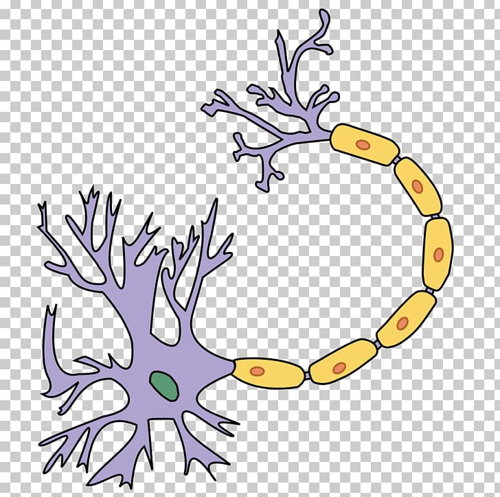 Axon Terminal Neuron Dendrite Nervous System PNG, Clipart, Adaptation, Art, Artwork, Axon, Axon Terminal Free PNG Download