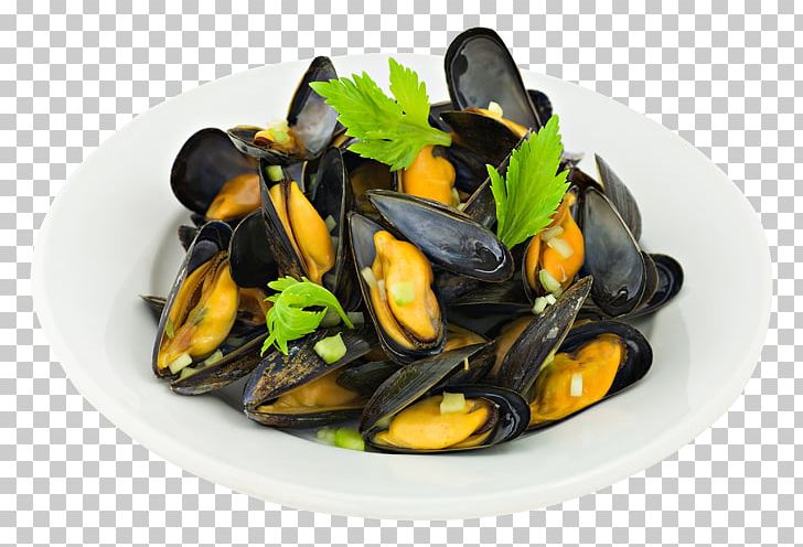 Blue Mussel Clam Oyster Seafood PNG, Clipart, Animal Source Foods, Blue Mussel, Bouchot, Clam, Clams Oysters Mussels And Scallops Free PNG Download