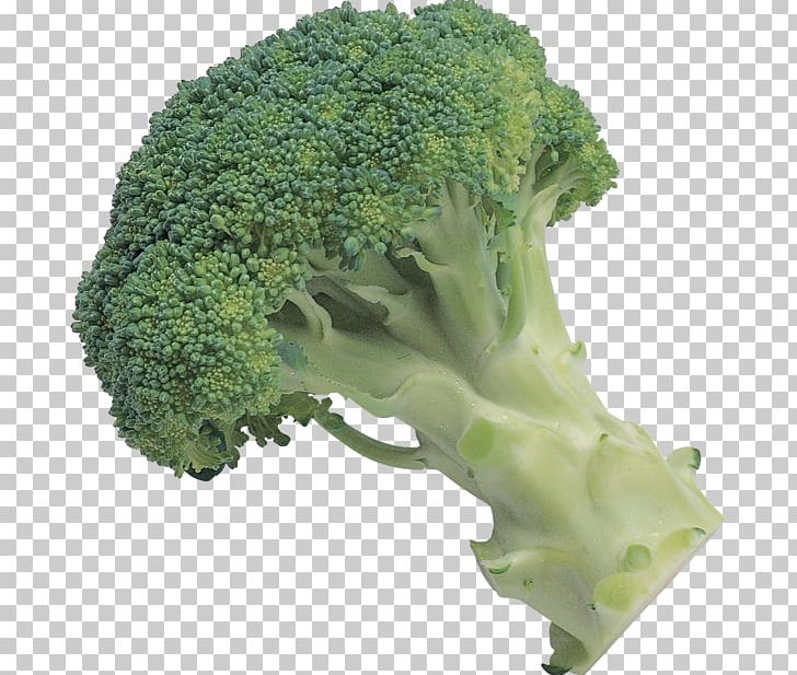 Broccoli Slaw Leaf Vegetable PNG, Clipart, Broccoli, Broccoli Slaw, Computer Icons, Display Resolution, Download Free PNG Download