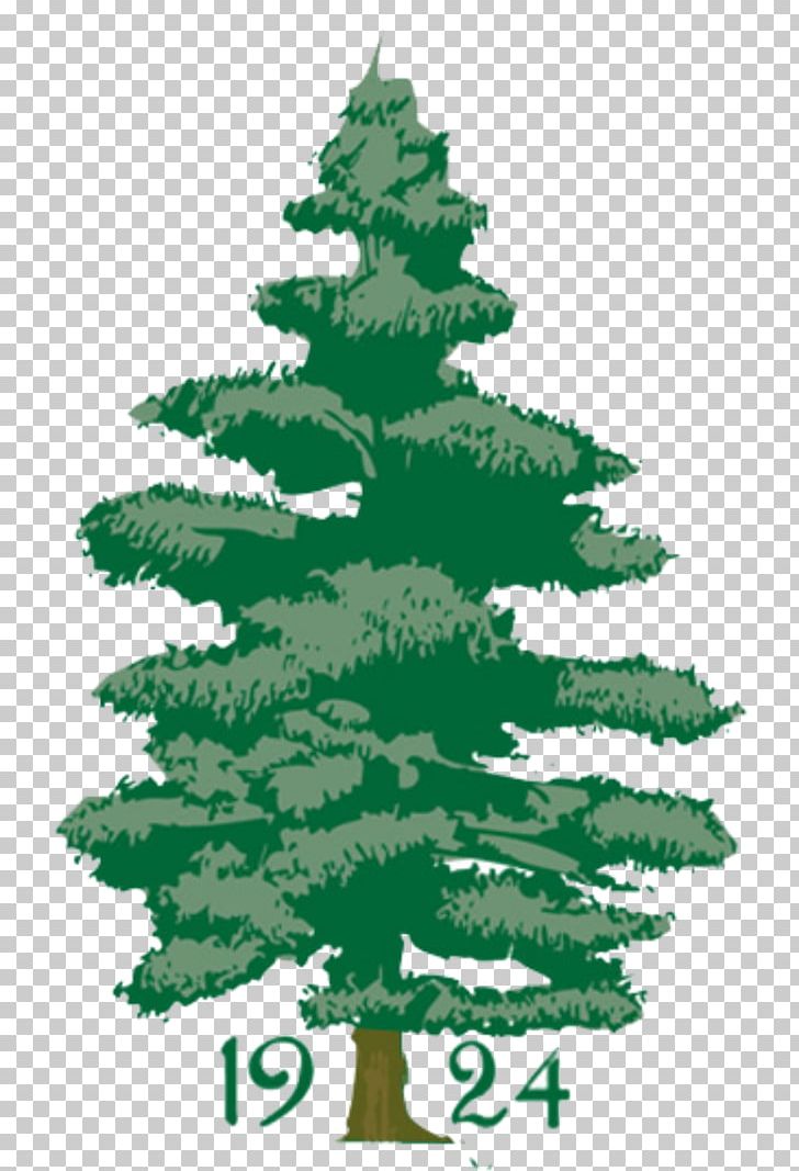 Penobscot Valley Country Club Golf Course Christmas Tree PNG, Clipart, Branch, Christmas, Christmas Decoration, Christmas Ornament, Christmas Tree Free PNG Download
