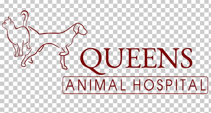 Queens Animal Hospital Dog Veterinarian Clinique Vétérinaire Veterinary Medicine PNG, Clipart, Animal, Animal Hospital, Animals, Area, Brand Free PNG Download