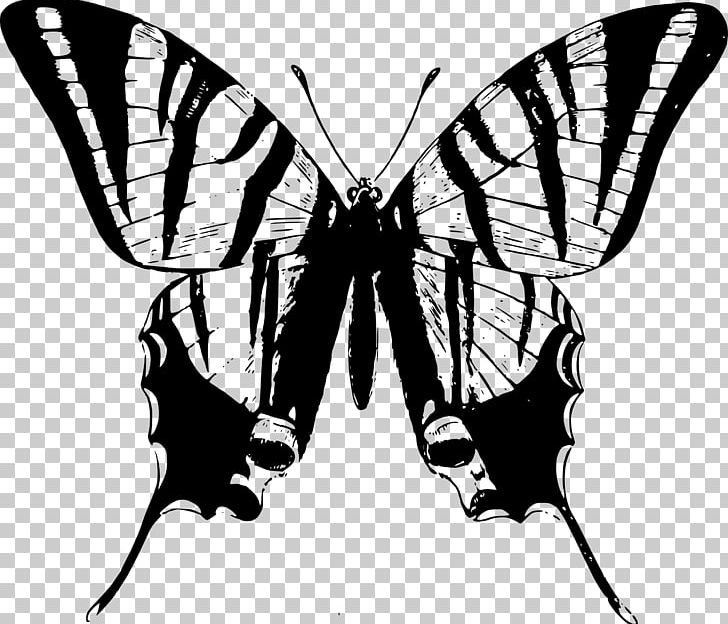 T-shirt Iron Butterfly Clothing PNG, Clipart, Arthropod, Black, Brush Footed Butterfly, Clothing Accessories, Fictional Character Free PNG Download