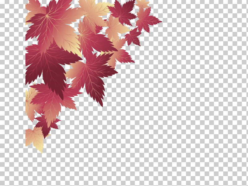 Maple Leaf PNG, Clipart, Branch, Flower, Leaf, Maple, Maple Leaf Free PNG Download