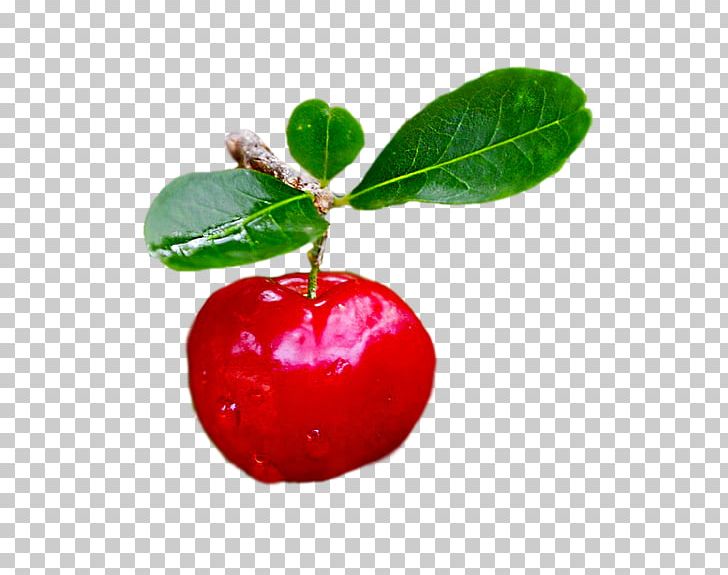 Barbados Cherry Ingredient Lingonberry Diabetes Mellitus PNG, Clipart, Acerola, Acerola Family, Apple, Barbados Cherry, Berry Free PNG Download