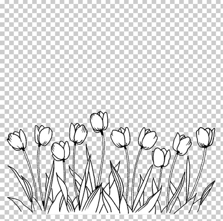 Flower Tulip Coloring Book Line Art Drawing PNG, Clipart, Angle, Area, Artwork, Black And White, Branch Free PNG Download