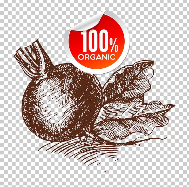 Organic Food Vegetable Onion PNG, Clipart, Brand, Cabbage, Carrot, Cartoon, Cartoon Vegetables Free PNG Download