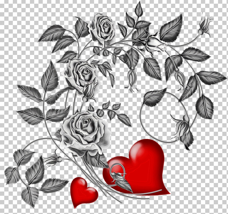 Garden Roses PNG, Clipart, Blackandwhite, Branch, Bud, Flower, Flower Heart Free PNG Download