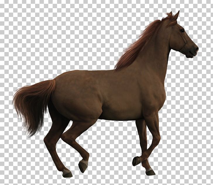 Clydesdale Horse Pony Animal Warmblood PNG, Clipart, Animal, Animal Figure, Bridle, Clydesdale Horse, Colt Free PNG Download
