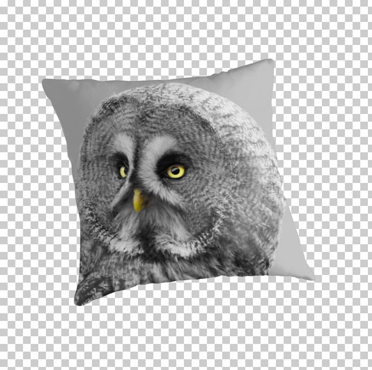 Owl Throw Pillows Cushion Beak Snout PNG, Clipart, Beak, Bird, Bird Of Prey, Cushion, Great Grey Owl Free PNG Download