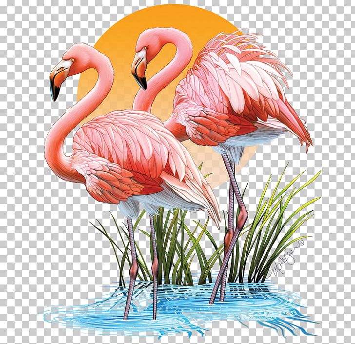 T-shirt Top Clothing Sleeve PNG, Clipart, American Flamingo, Art, Beak, Bird, Clothing Free PNG Download