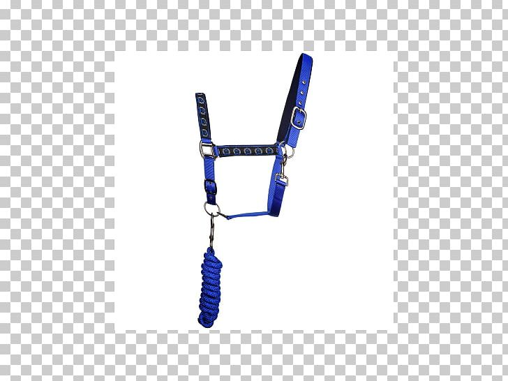 Horse Equestrian Halter Reitsport-Weise Berlin Tack Shop PNG, Clipart, Angle, Animals, Blue, Cobalt Blue, Colorfull Free PNG Download