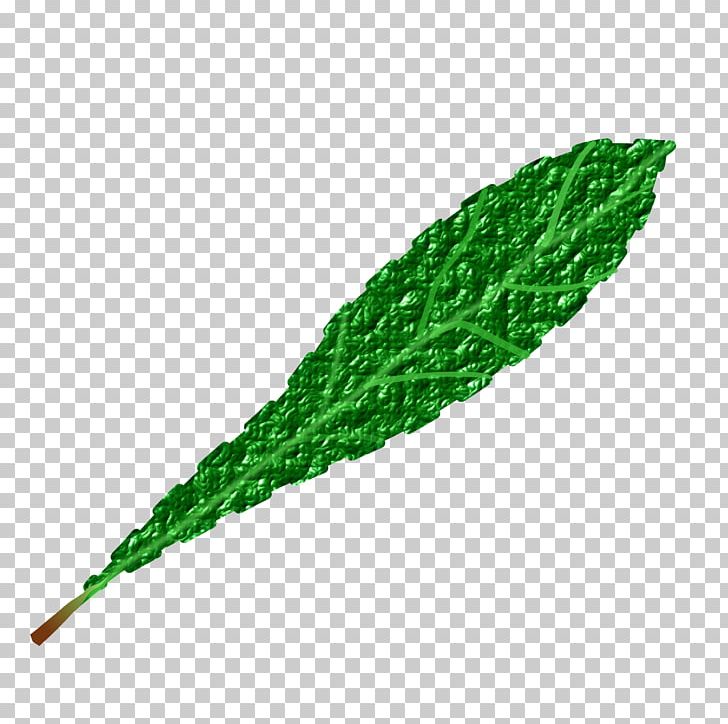 Leaf Computer Icons PNG, Clipart, Computer Icons, Download, Forest Green, Grass, Green Leaves Free PNG Download