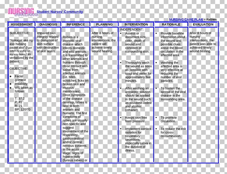 Nursing Interventions Classification Nursing Care Plan Nursing Diagnosis NANDA PNG, Clipart, Area, Computer Program, Diagram, Document, Dyspnea Free PNG Download