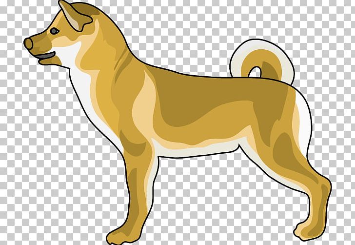 Dog Breed Shikoku Norwegian Lundehund Canaan Dog Puppy PNG, Clipart, Animals, Artwork, Breed, Canaan Dog, Carnivoran Free PNG Download