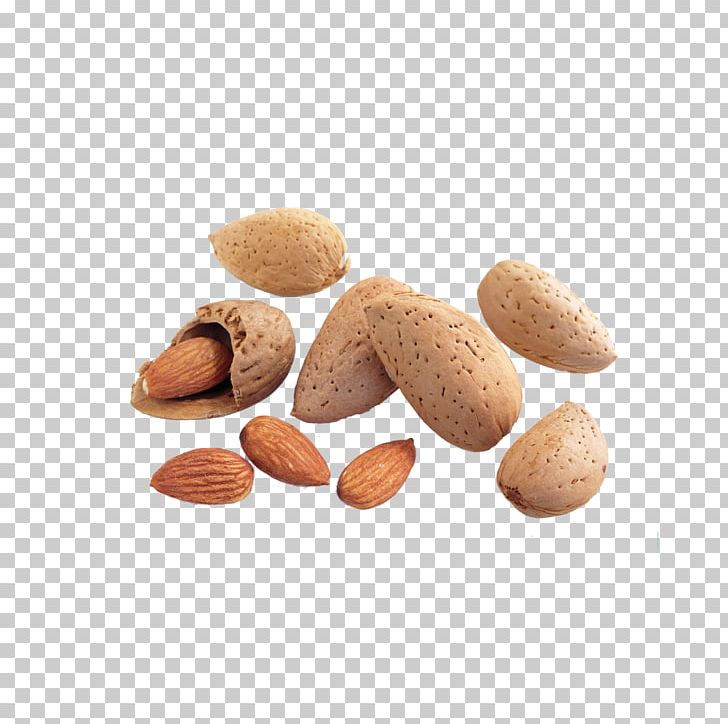 Food Nuts Almond PNG, Clipart, Almond Milk, Almond Nut, Almond Nuts, Almond Pudding, Almonds Free PNG Download