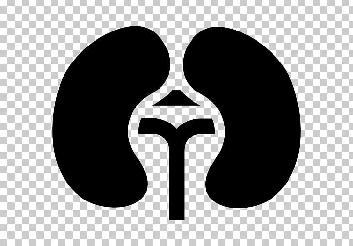 Kidney Computer Icons Organ Medicine PNG, Clipart, Black And White, Computer Icons, Health, Healthy Heart Clinic, Human Anatomy Free PNG Download