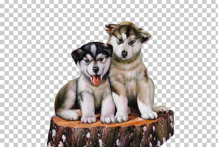 Miniature Siberian Husky Puppy Sakhalin Husky Alaskan Malamute PNG, Clipart, Alaskan Klee Kai, Alaskan Malamute, Animals, Blingee, Canvas Free PNG Download