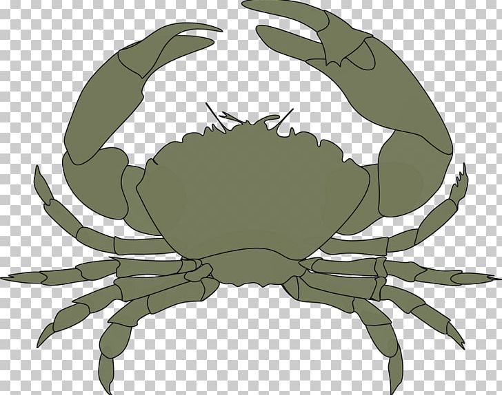 Black Pepper Crab Christmas Island Red Crab Florida Stone Crab PNG, Clipart, Animal Source Foods, Cartoon, Chesapeake Blue Crab, Christmas Island Red Crab, Crab Free PNG Download