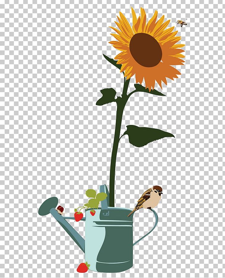 Common Sunflower Sunflower Seed Self-portrait With A Sunflower Flora PNG, Clipart, Common Daisy, Cut Flowers, Daisy, Daisy Family, Floral Design Free PNG Download