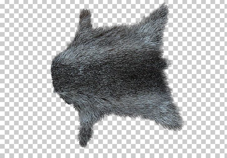 Fur Wall Hanging Dog PNG, Clipart, Building, Canidae, Dog, Dog Like Mammal, Fur Free PNG Download