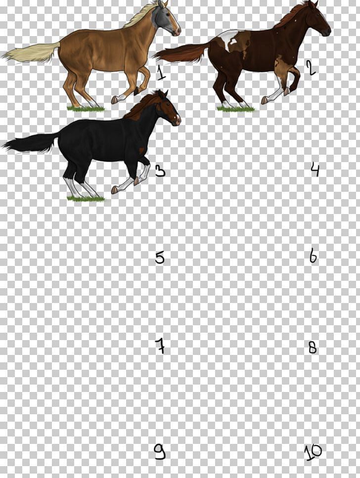 Mustang Foal Stallion Colt Pony PNG, Clipart, Carnivoran, Cartoon, Cattle Like Mammal, Chimera, Colt Free PNG Download