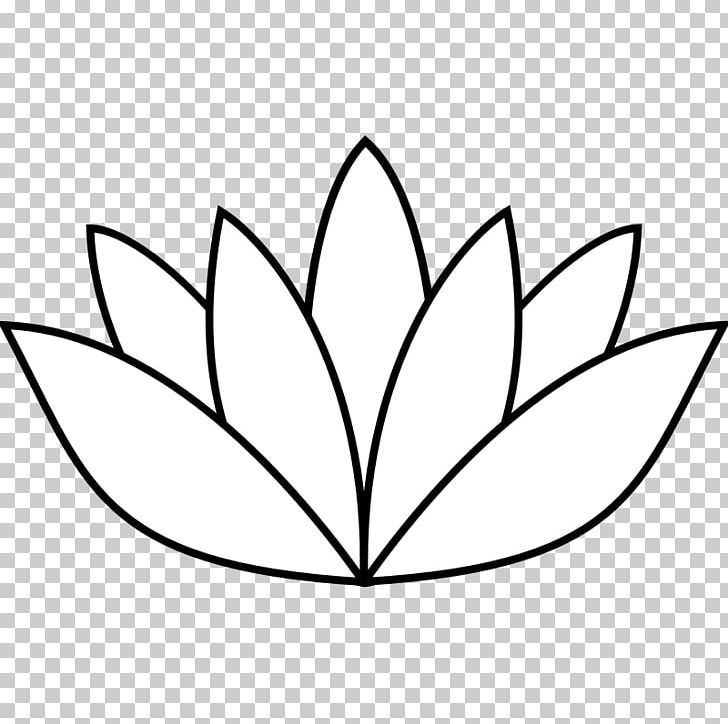 Drawing Nelumbo Nucifera Line Art PNG, Clipart, Area, Art, Black And White, Branch, Circle Free PNG Download