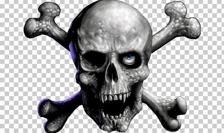 Skull PNG, Clipart, Aggression, Bone, Calavera, Jaw, Skull Free PNG Download