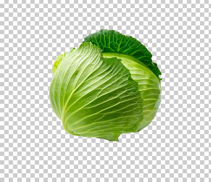 Vegetable Chinese Cabbage Fruit Onion Food PNG, Clipart, Cabbage, Cabbage Leaves, Cabbage Roses, Cartoon Cabbage, Cauliflower Free PNG Download
