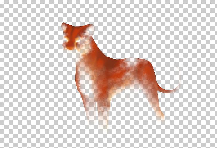 Whiskers Dog Breed Cat Dhole PNG, Clipart, Animals, Breed, Carnivoran, Cat, Cat Like Mammal Free PNG Download