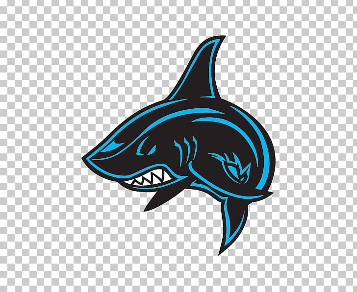 Requiem Sharks Sticker Fin Polyvinyl Chloride PNG, Clipart, Angry Shark, Aqua, Automotive Design, Bottlenose Dolphin, Cartilaginous Fish Free PNG Download