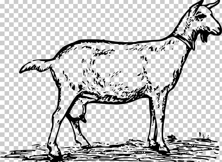 The Whole Goat Handbook: Recipes PNG, Clipart, Animals, Black And White, Book, Cattle Like Mammal, Cheesemaking Free PNG Download