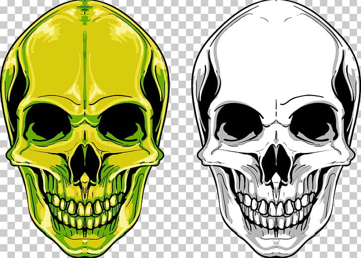 Skull Euclidean PNG, Clipart, Bone, Capita, Download, Euclidean Vector, Face Free PNG Download