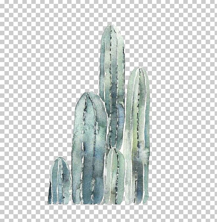 Cactaceae Gratis PNG, Clipart, Cactus, Download, Euclidean Vector, Finger, Fresh Free PNG Download