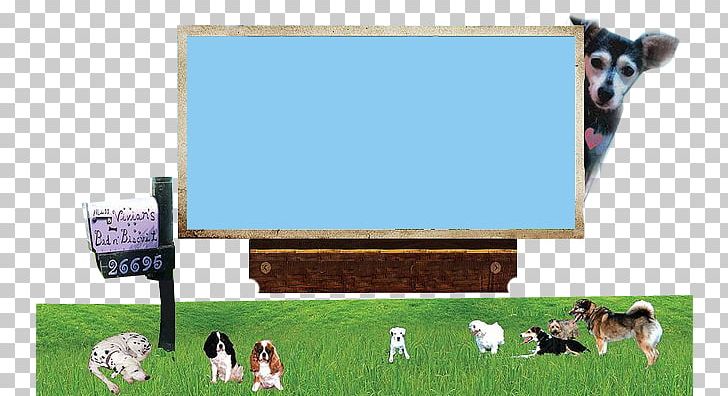 Cattle Technology Grassland System Miss Vivian's Bed N' Biscuit PNG, Clipart,  Free PNG Download