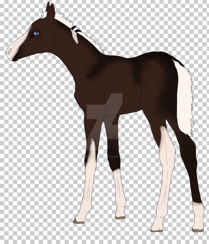 Colt Mustang Foal Stallion Mare PNG, Clipart, Bridle, Colt, Foal, Halter, Horse Free PNG Download