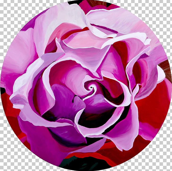 Garden Roses Cabbage Rose Cut Flowers Reticule Petal PNG, Clipart, Art, Australian Dollar, Cut Flowers, Diameter, Flower Free PNG Download