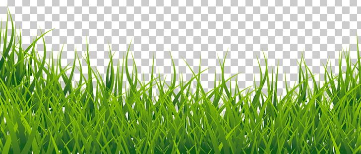 Landscape Computer Wallpaper Sticker PNG, Clipart, Black And White, Cartoon, Clip Art, Cliparts, Computer Icons Free PNG Download