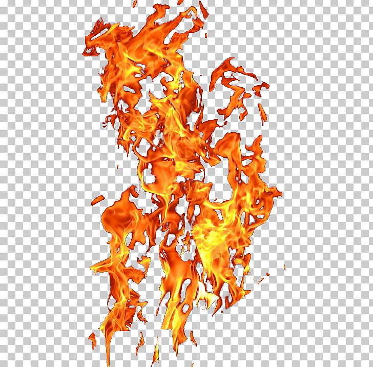Light Flame Combustion Fire PNG, Clipart, Blue Flame, Candle Flame, Combustion, Designer, Euclidean Vector Free PNG Download