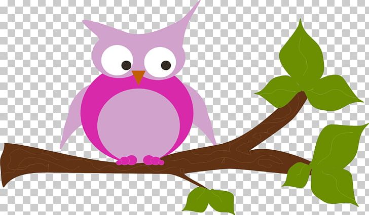 Owl Beak Bird PNG, Clipart, Animals, Beak, Bird, Bird Of Prey, Branch Free PNG Download