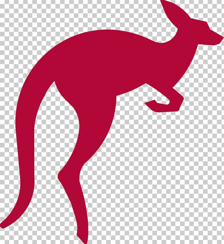 Red Kangaroo Macropodidae PNG, Clipart, Animals, Carnivoran, Clip Art, Document, Dog Like Mammal Free PNG Download