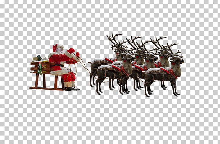 Santa Claus's Reindeer Santa Claus's Reindeer Mrs. Claus PNG, Clipart,  Free PNG Download