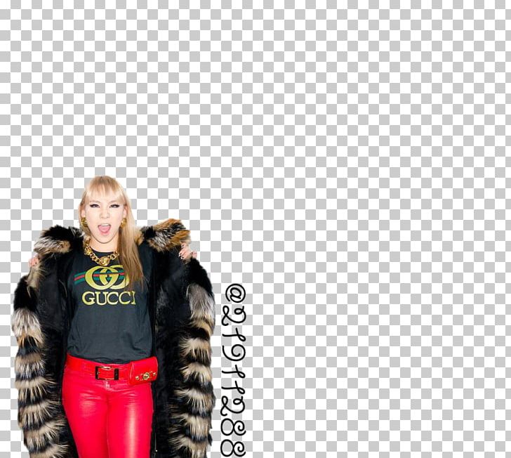 2NE1 Fur Clothing K-pop YG Entertainment PNG, Clipart, 2ne1, Coat, Collection, Dirty Vibe, Fur Free PNG Download