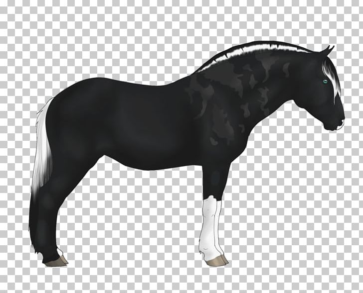 Mane Mustang Stallion Mare Pony PNG, Clipart, Animal Figure, Bridle, Dog Harness, Halter, Horse Free PNG Download
