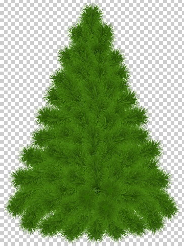 Pine Tree PNG, Clipart, Biome, Christmas Decoration, Christmas Ornament, Christmas Tree, Clip Art Free PNG Download