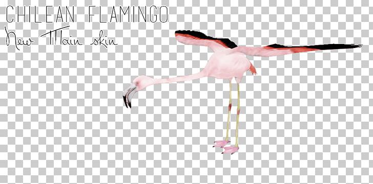 Water Bird Beak Line Angle PNG, Clipart, Angle, Arm, Balance, Beak, Bird Free PNG Download